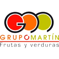 Grupo Martín